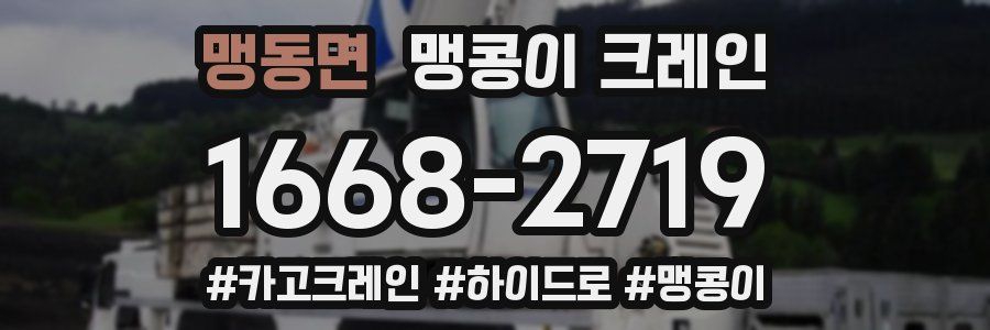 맹동면 맹콩이 크레인