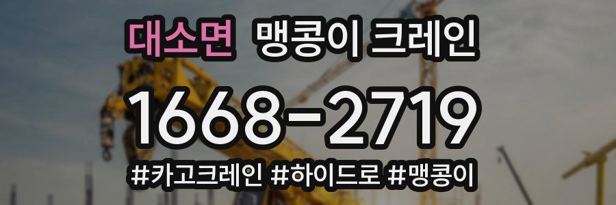 대소면 맹콩이 크레인