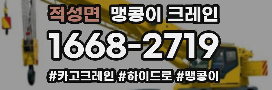 적성면 맹콩이 크레인