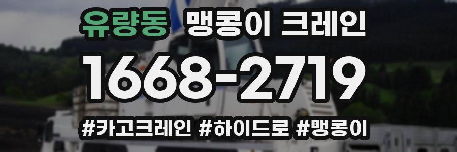 유량동 맹콩이 크레인