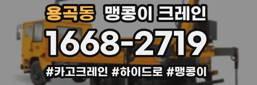 용곡동 맹콩이 크레인