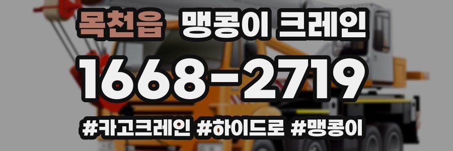 목천읍 맹콩이 크레인