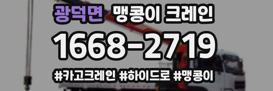 광덕면 맹콩이 크레인