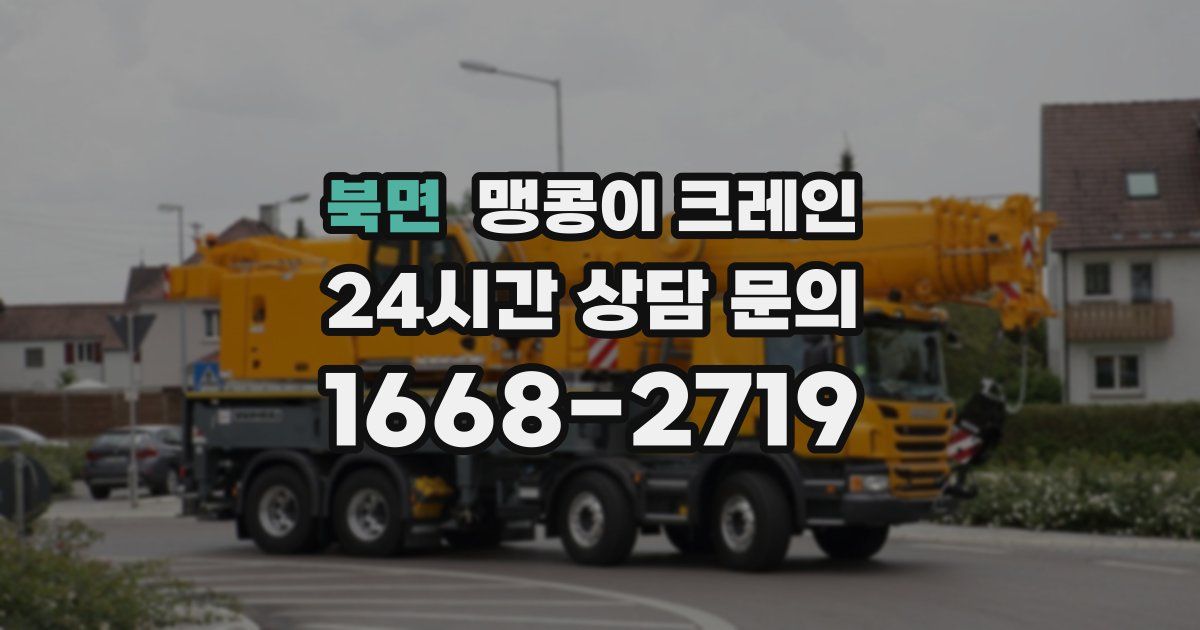 북면 맹콩이 크레인