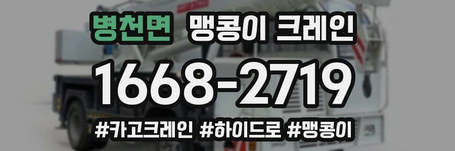 병천면 맹콩이 크레인