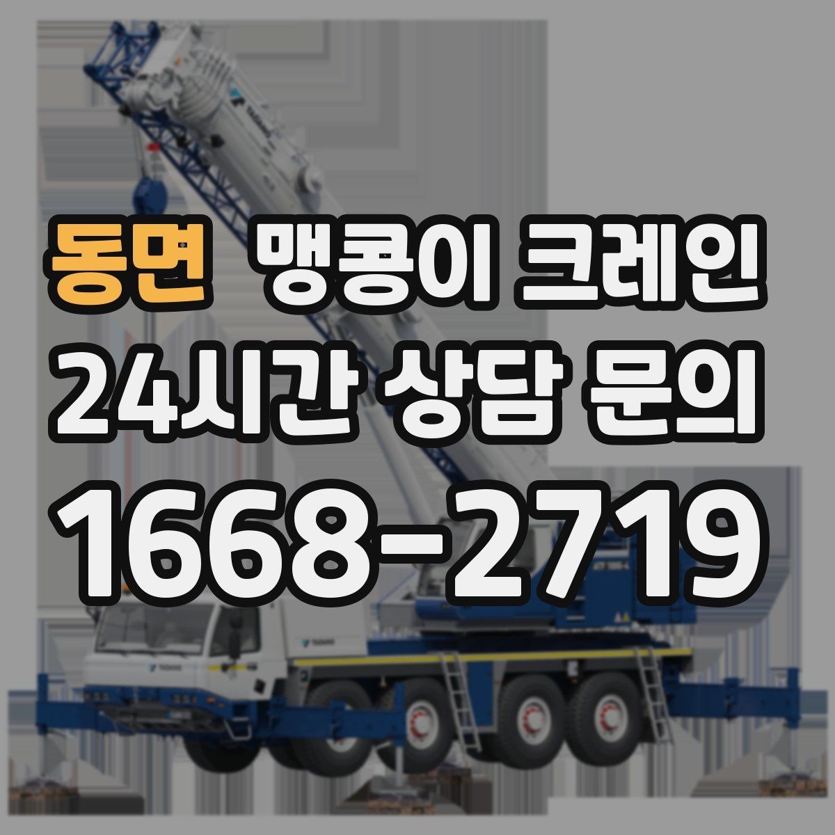 동면 맹콩이 크레인 카고 크레인과 어떤 점이 다른가요