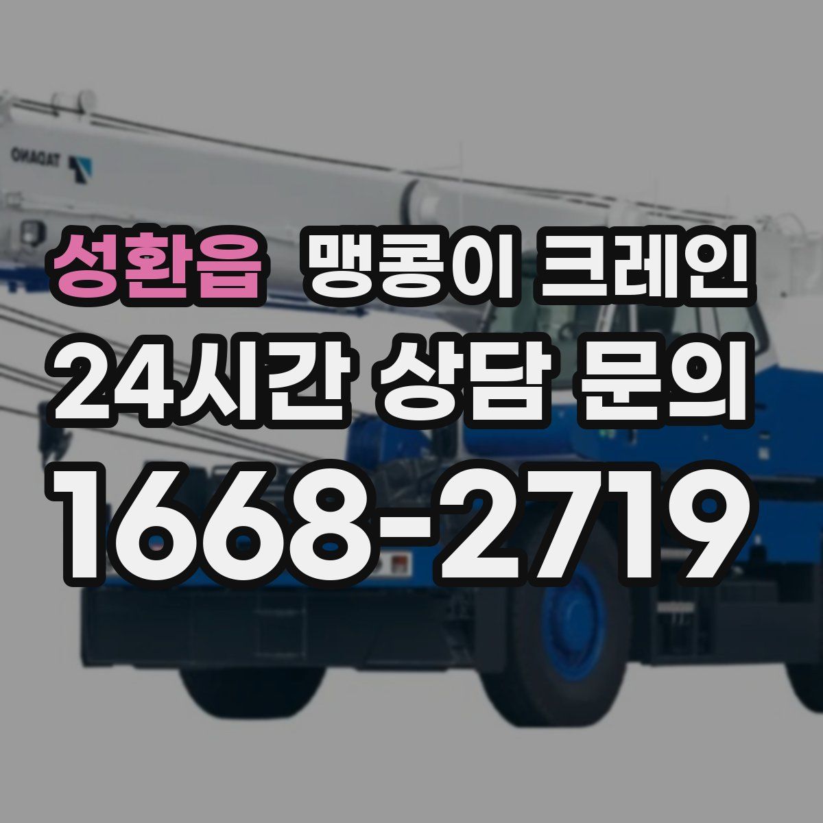 성환읍 맹콩이 크레인