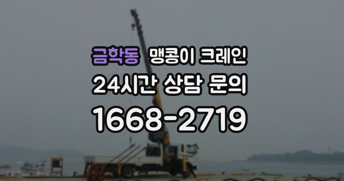 금학동 맹콩이 크레인