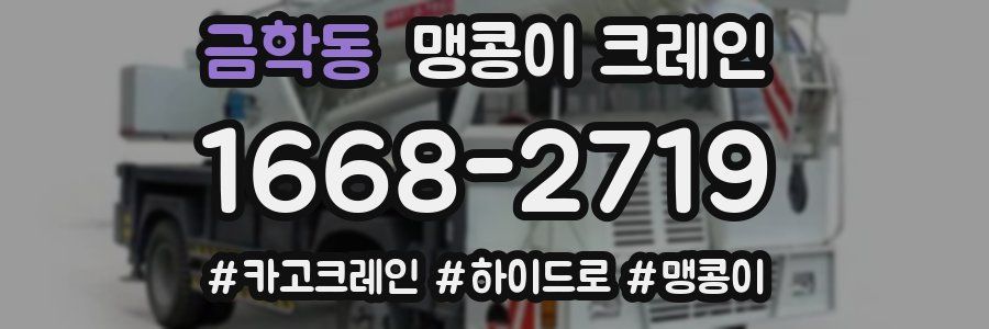 금학동 맹콩이 크레인