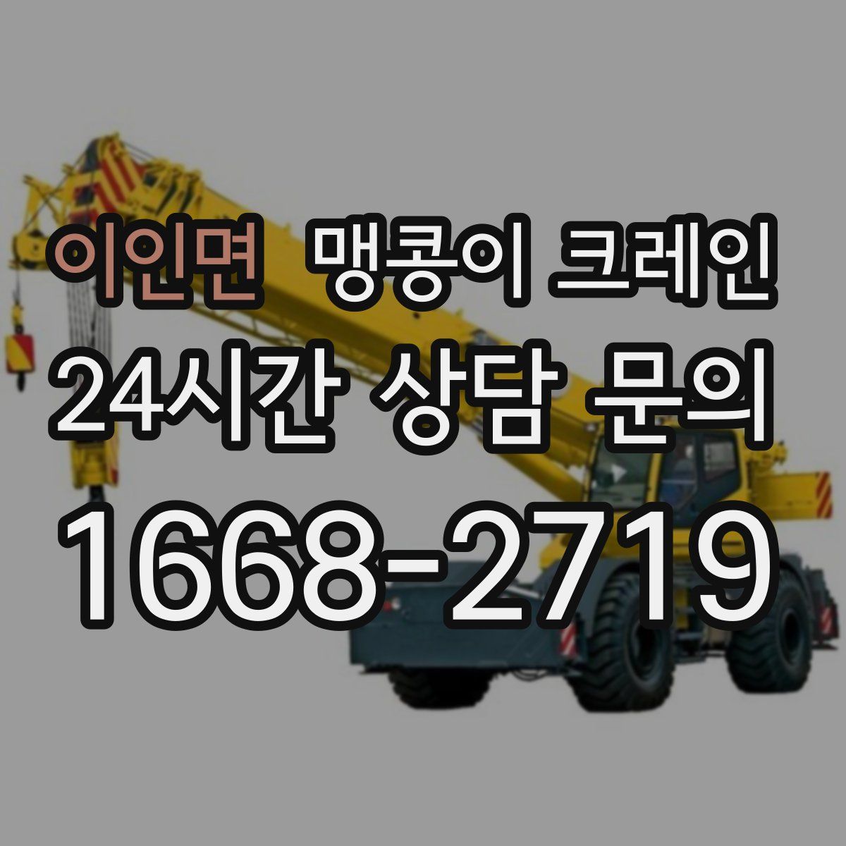 이인면 맹콩이 크레인