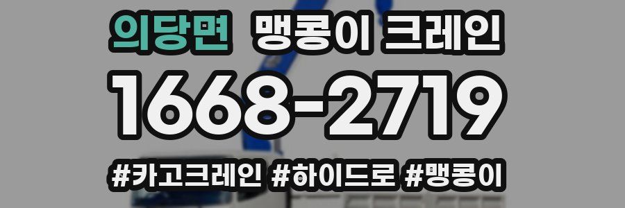 의당면 맹콩이 크레인