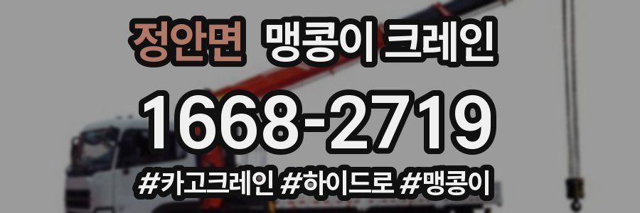 정안면 맹콩이 크레인
