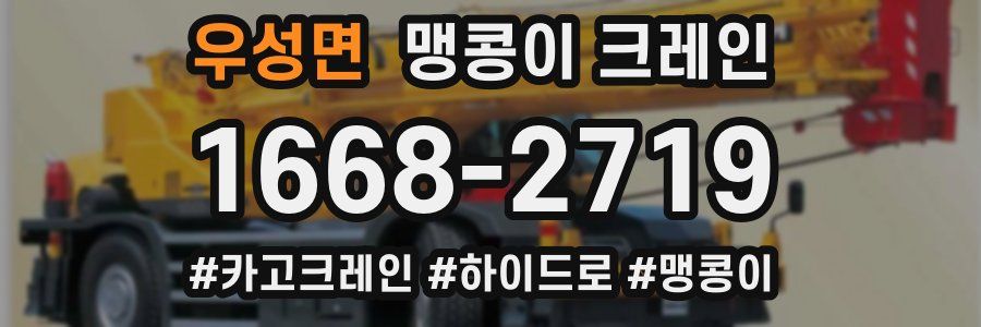 우성면 맹콩이 크레인