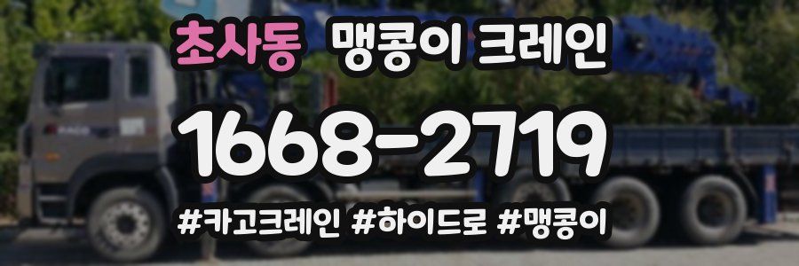 초사동 맹콩이 크레인
