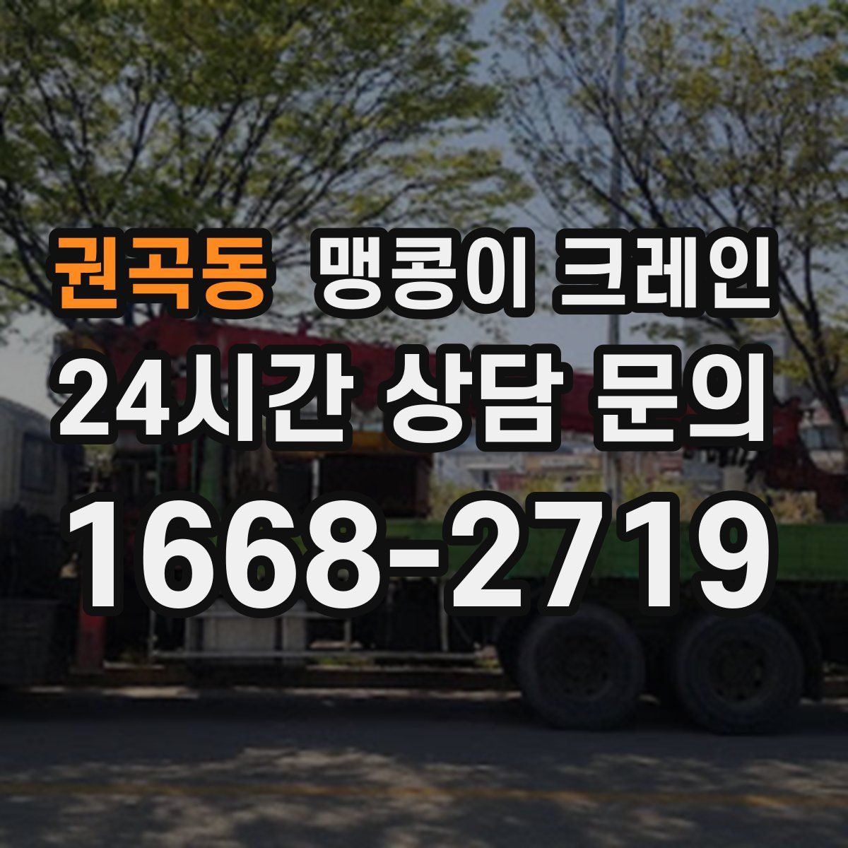 권곡동 맹콩이 크레인