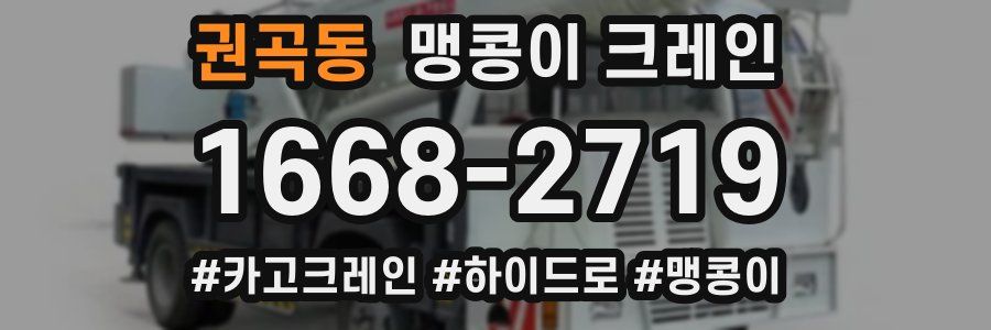 권곡동 맹콩이 크레인