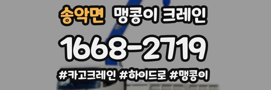 송악면 맹콩이 크레인