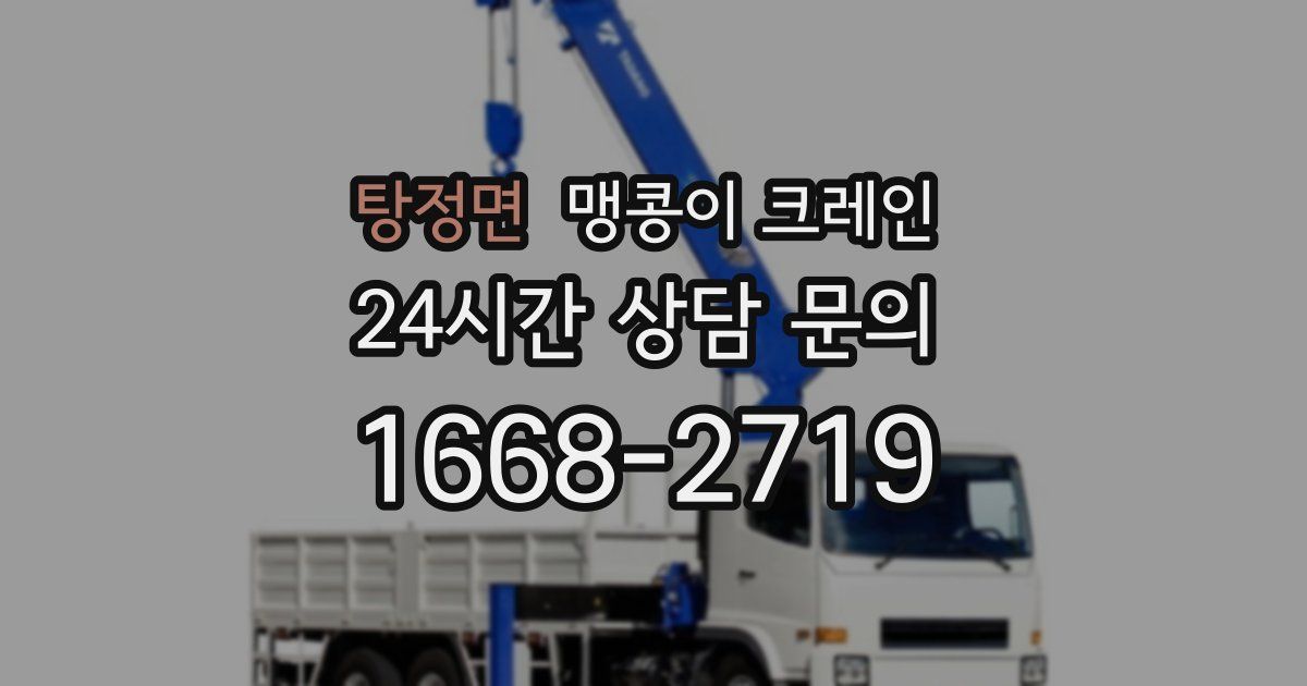 탕정면 맹콩이 크레인