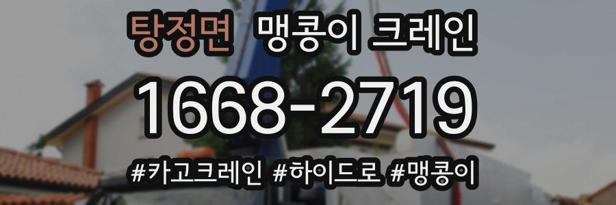 탕정면 맹콩이 크레인