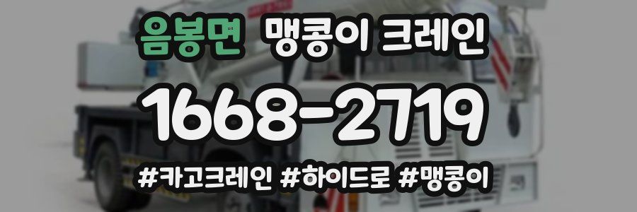 음봉면 맹콩이 크레인