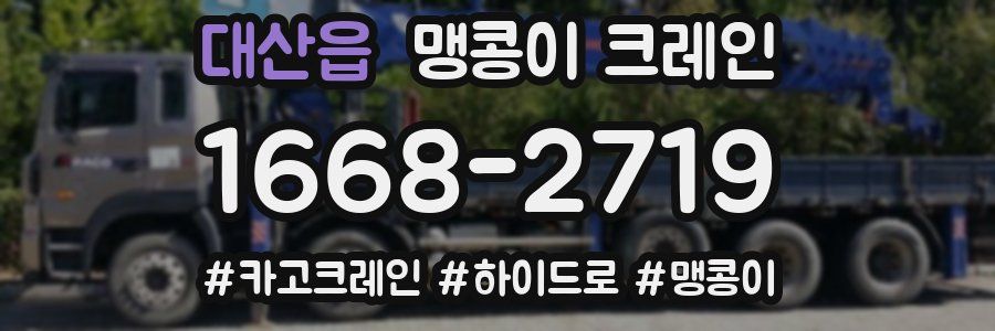 대산읍 맹콩이 크레인