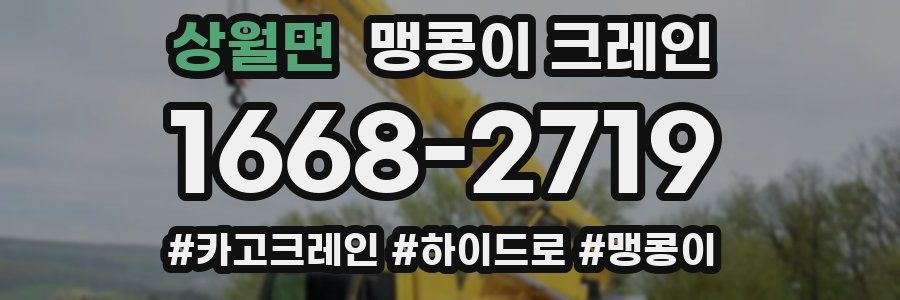 상월면 맹콩이 크레인