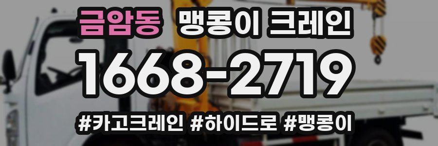 금암동 맹콩이 크레인