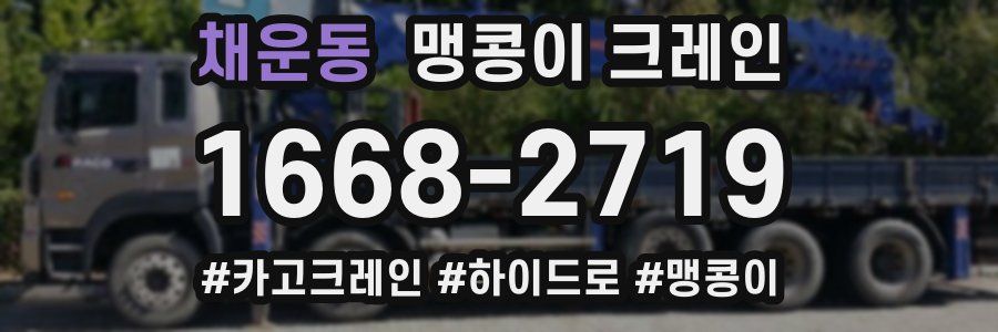 채운동 맹콩이 크레인