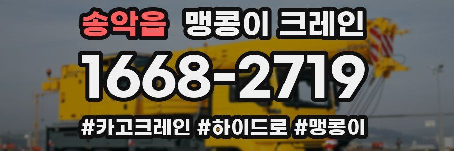 송악읍 맹콩이 크레인