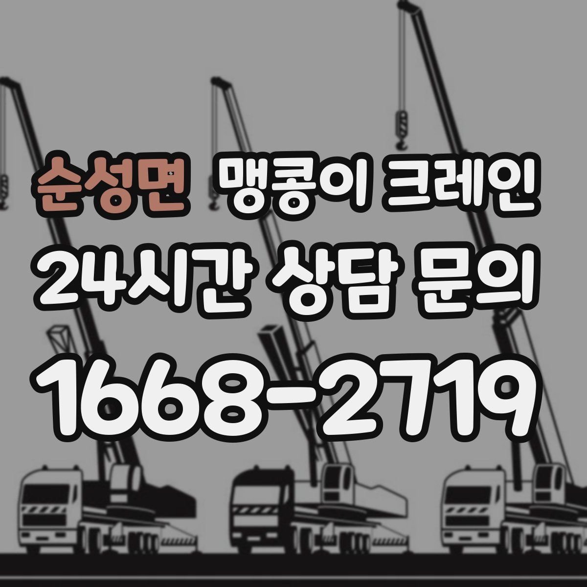 순성면 맹콩이 크레인