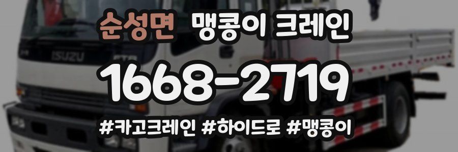 순성면 맹콩이 크레인