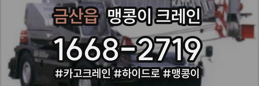 금산읍 맹콩이 크레인
