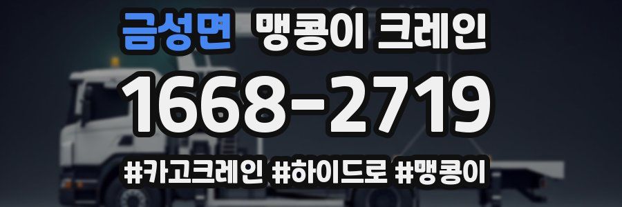 금성면 맹콩이 크레인