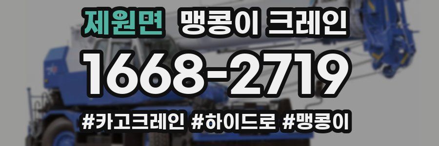 제원면 맹콩이 크레인