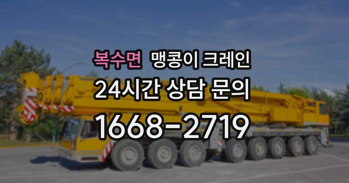 복수면 맹콩이 크레인