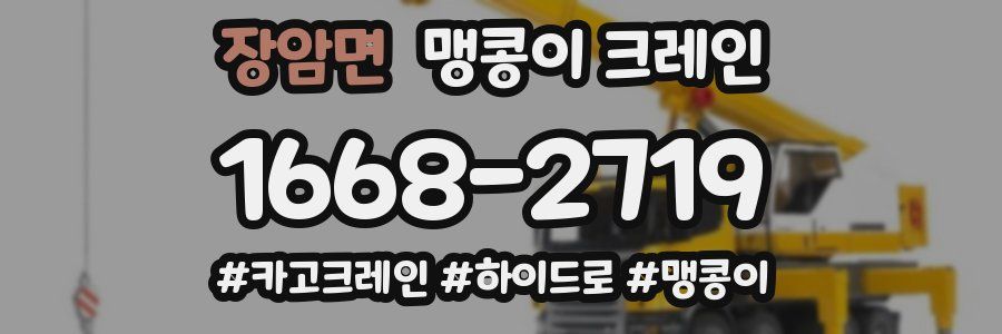 장암면 맹콩이 크레인