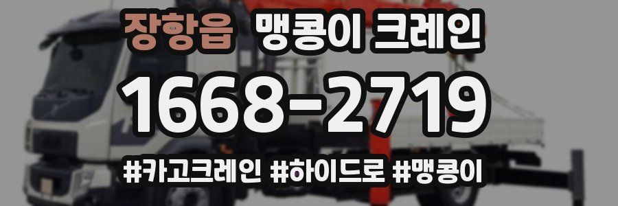 장항읍 맹콩이 크레인