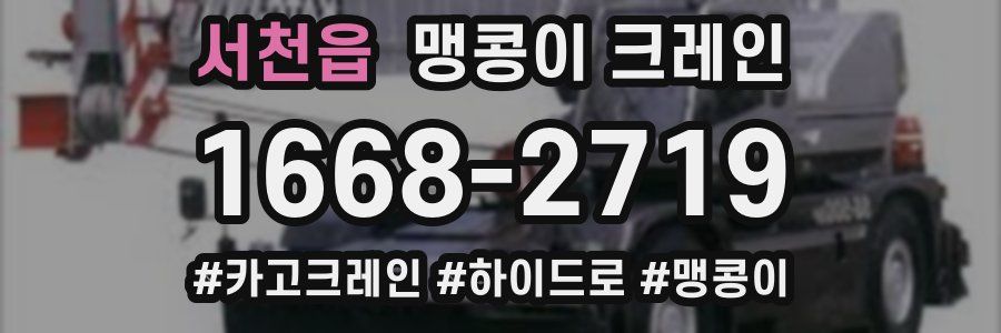 서천읍 맹콩이 크레인