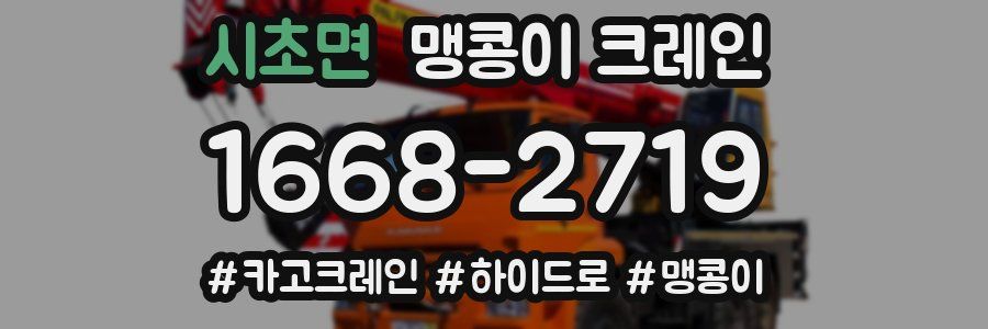 시초면 맹콩이 크레인