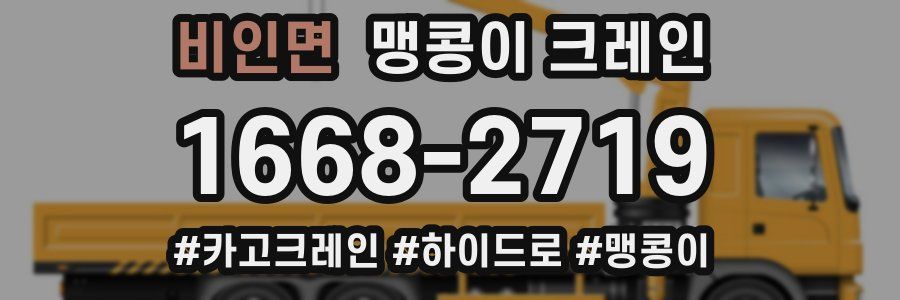 비인면 맹콩이 크레인