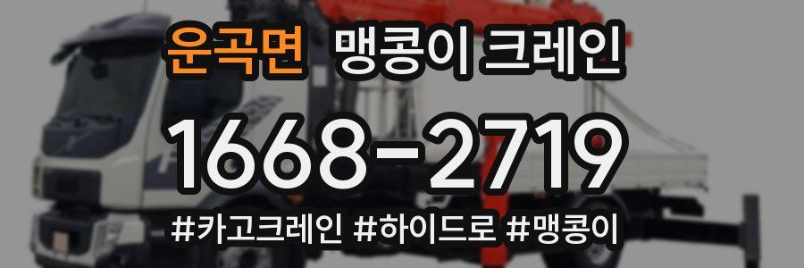 운곡면 맹콩이 크레인