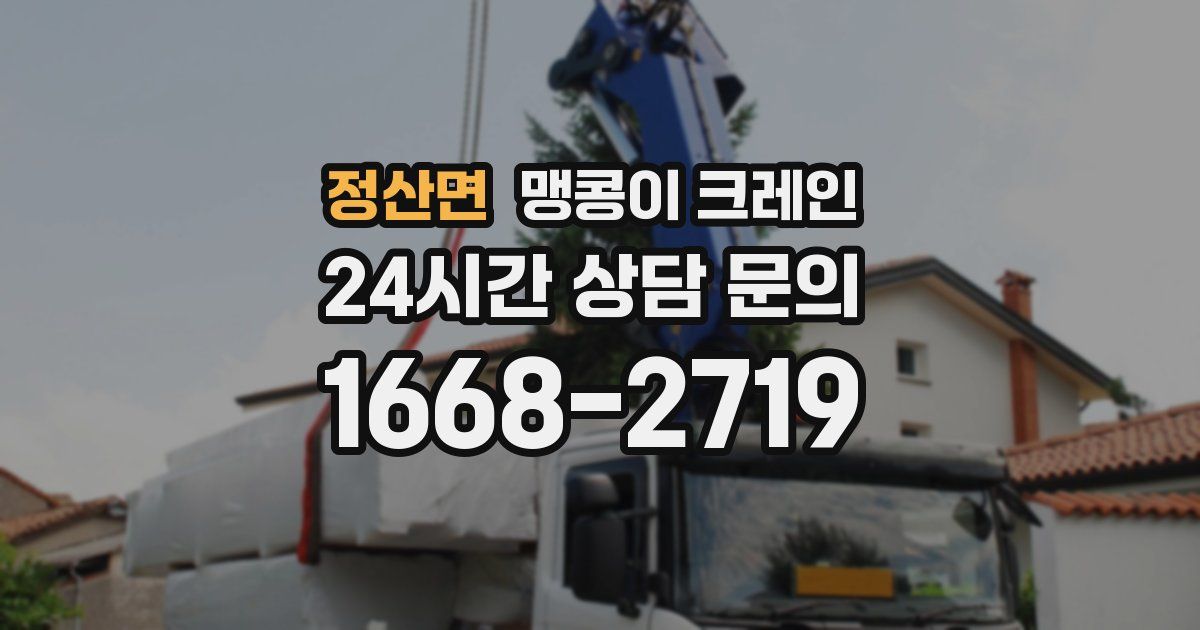 정산면 맹콩이 크레인