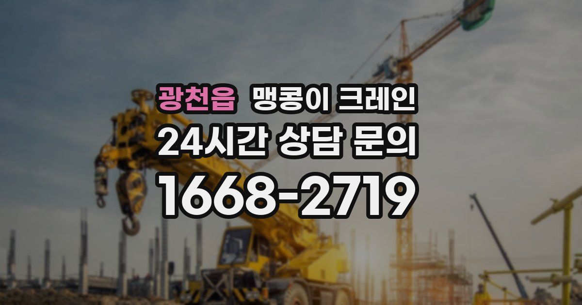 광천읍 맹콩이 크레인