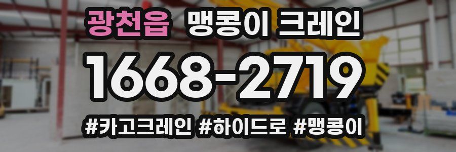 광천읍 맹콩이 크레인