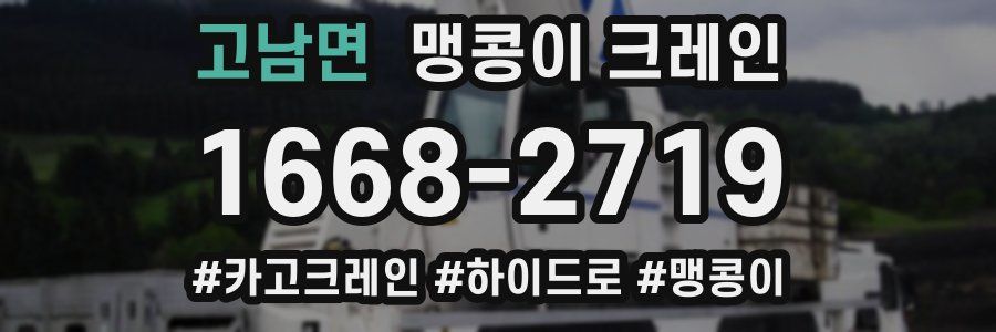 고남면 맹콩이 크레인