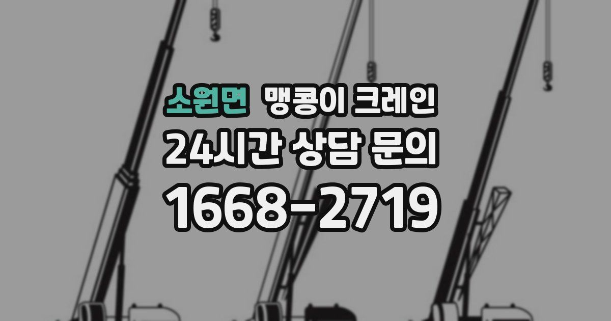 소원면 맹콩이 크레인