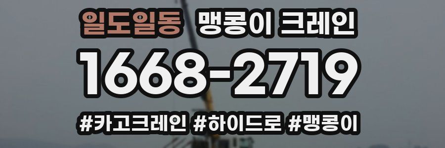 일도일동 맹콩이 크레인