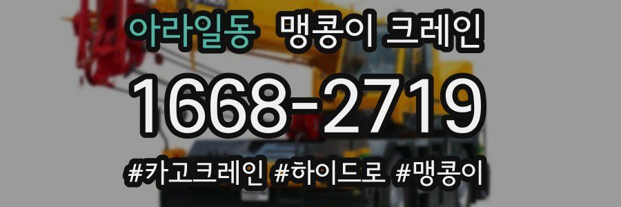아라일동 맹콩이 크레인