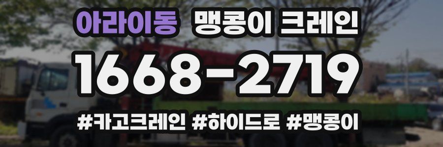 아라이동 맹콩이 크레인