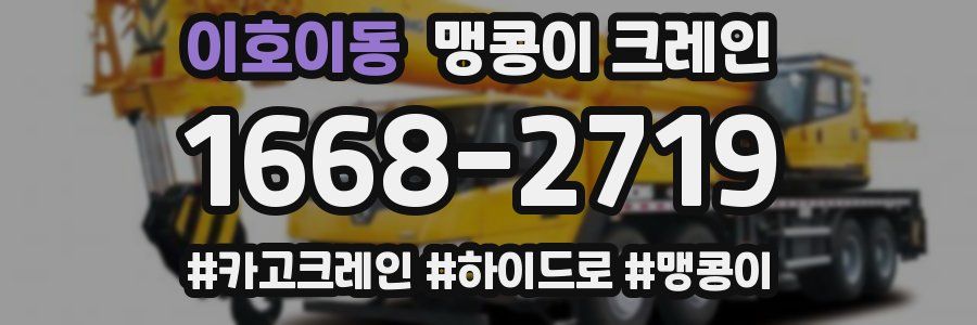 이호이동 맹콩이 크레인